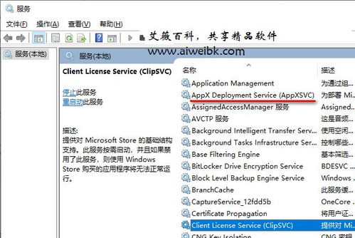 组件服务计算机卡死？解析wsappx进程占用系统资源过多导致电脑卡死的解决方法